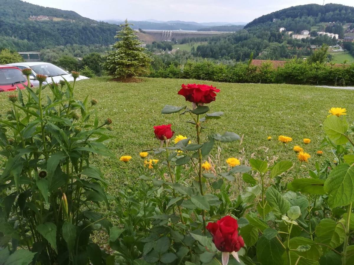 Noclegi Nad Solina ソリナ エクステリア 写真